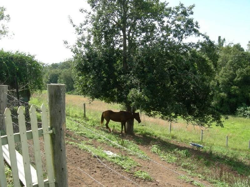 Dyers Crossing NSW 2429