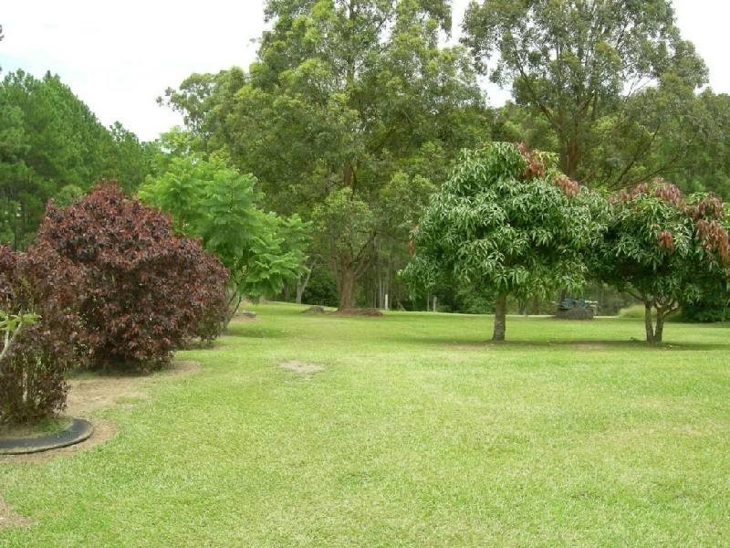 Krambach NSW 2429
