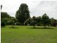 Krambach NSW 2429