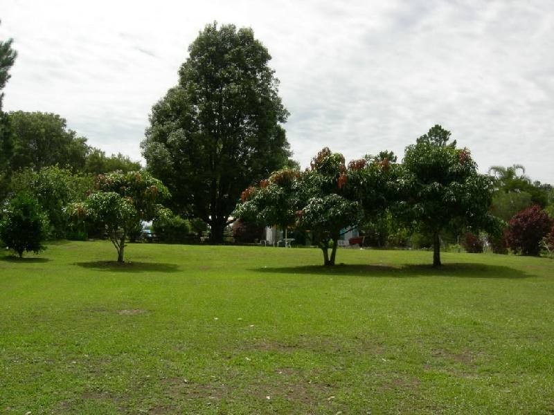 Krambach NSW 2429
