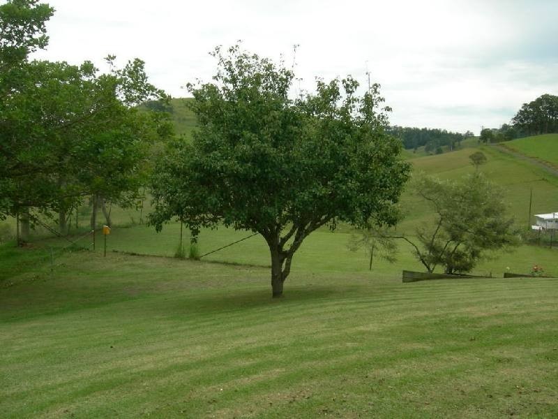 Kundibakh NSW 2429