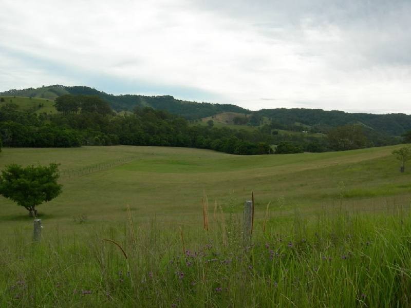 Kundibakh NSW 2429