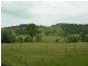 Wang Wauk NSW 2423