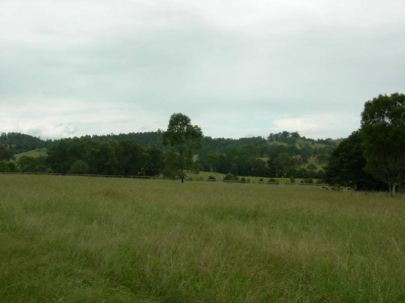 Wang Wauk NSW 2423