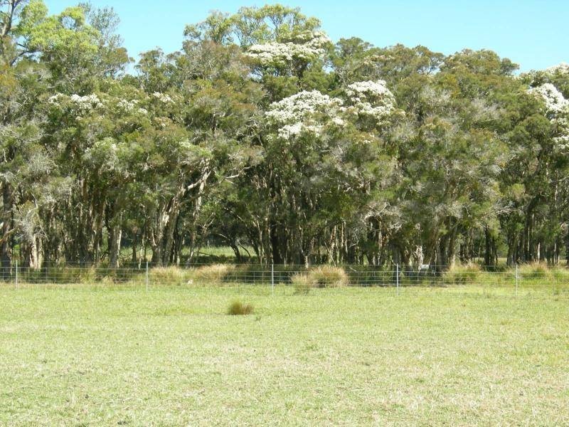 Dyers Crossing NSW 2429