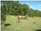 Krambach NSW 2429