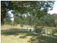 Krambach NSW 2429