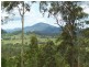 Charity Creek NSW 2424