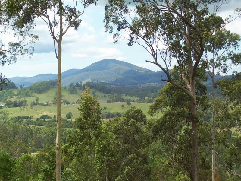 Charity Creek NSW 2424
