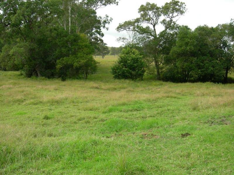 Kundibakh NSW 2429