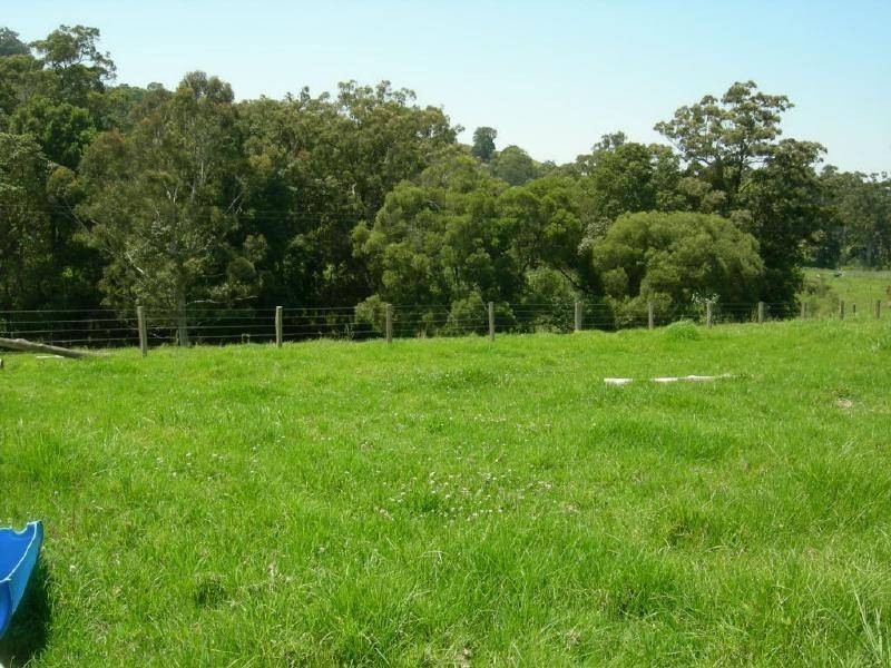 Dyers Crossing NSW 2429