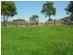 Dyers Crossing NSW 2429