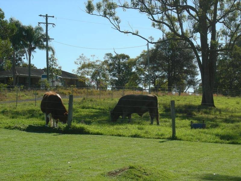 Dyers Crossing NSW 2429