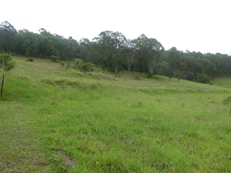 Kundibakh NSW 2429