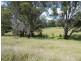 Possum Brush NSW 2430