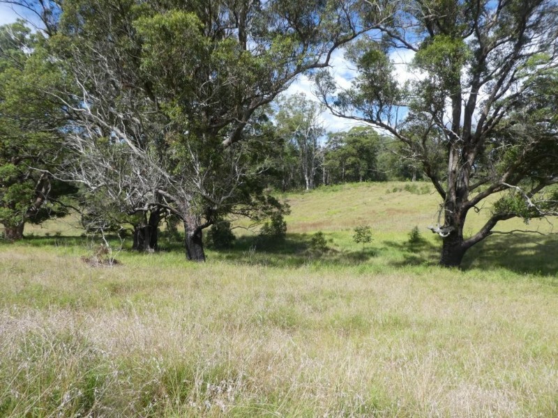 Possum Brush NSW 2430