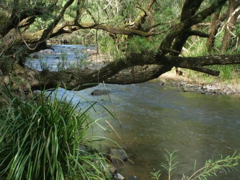 Caffreys Flat NSW 2424
