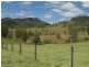 Caffreys Flat NSW 2424