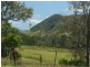 Caffreys Flat NSW 2424