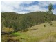 Caffreys Flat NSW 2424