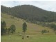 Caffreys Flat NSW 2424