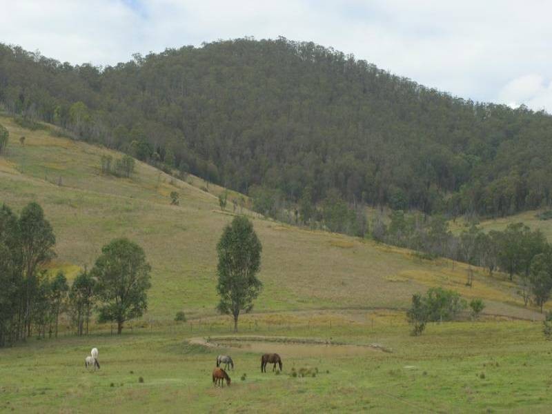 Caffreys Flat NSW 2424