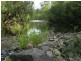Caffreys Flat NSW 2424