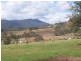 Caffreys Flat NSW 2424