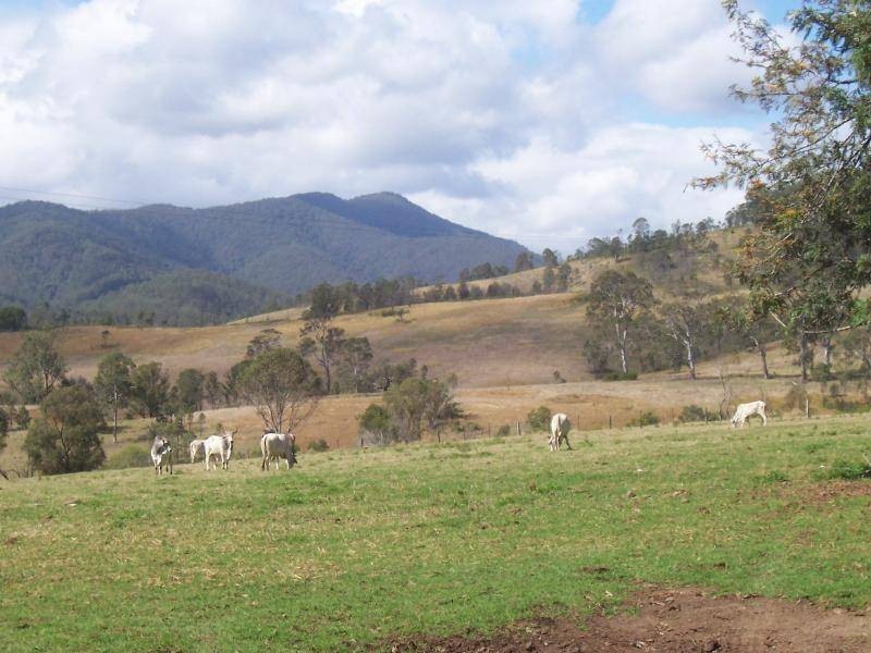 Caffreys Flat NSW 2424