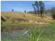 Caffreys Flat NSW 2424