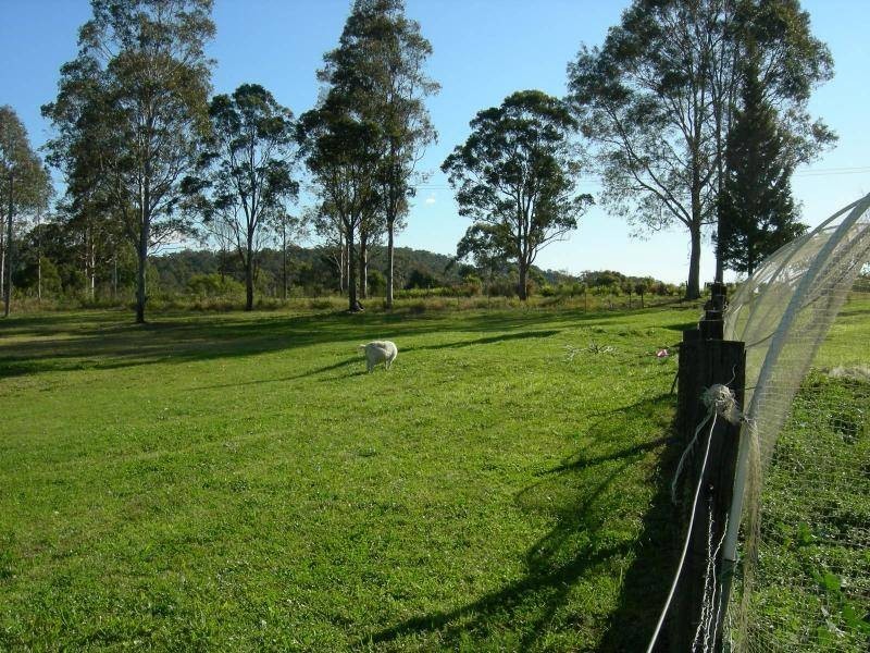 Firefly NSW 2429