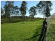Firefly NSW 2429