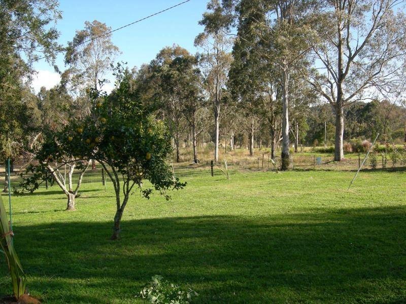 Firefly NSW 2429