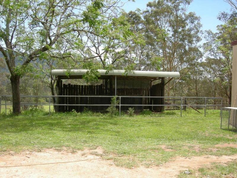 Kimbriki NSW 2429