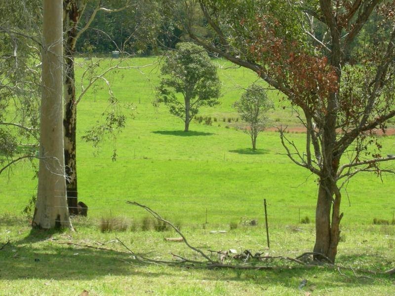 Kimbriki NSW 2429