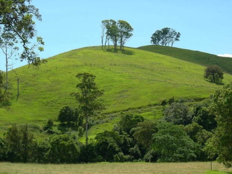 Bucca Wauka NSW 2429