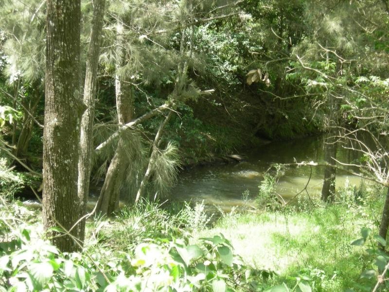 Bucca Wauka NSW 2429
