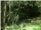 Bucca Wauka NSW 2429