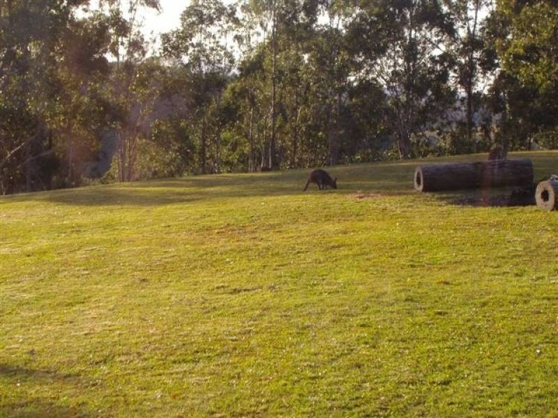 Tipperary NSW 2429