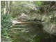 Tipperary NSW 2429