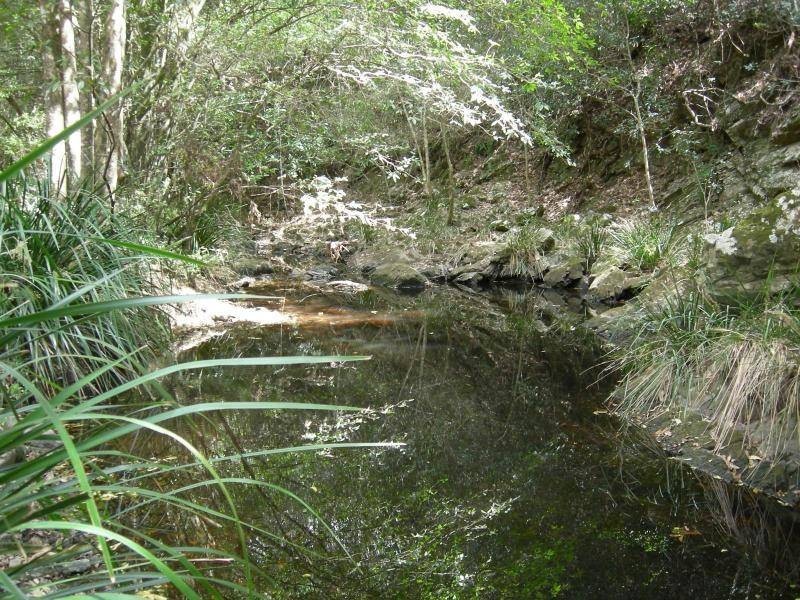 Tipperary NSW 2429