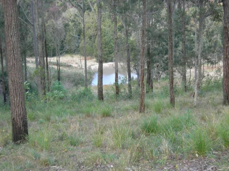 Dyers Crossing NSW 2429