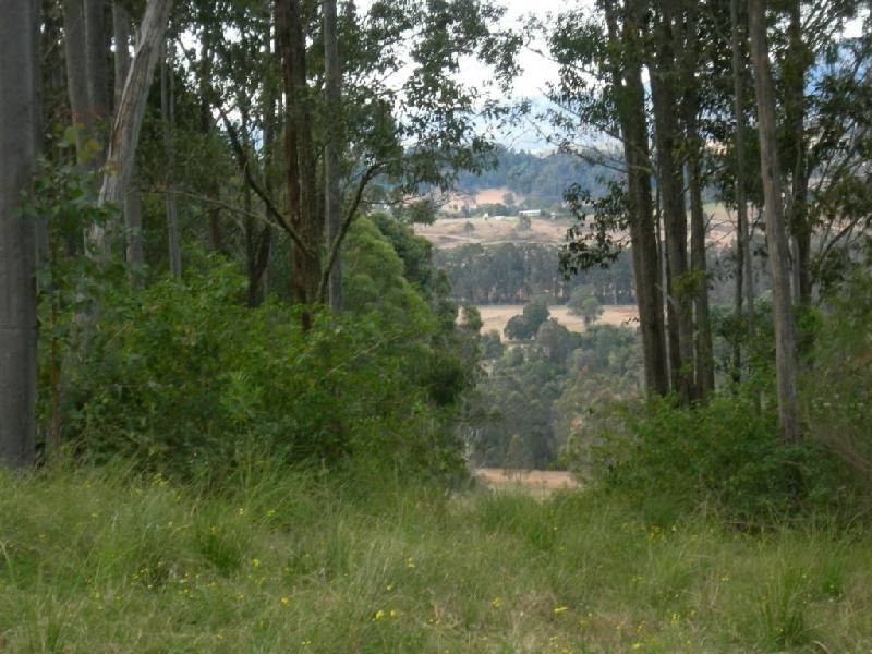 Dyers Crossing NSW 2429