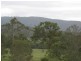 Krambach NSW 2429