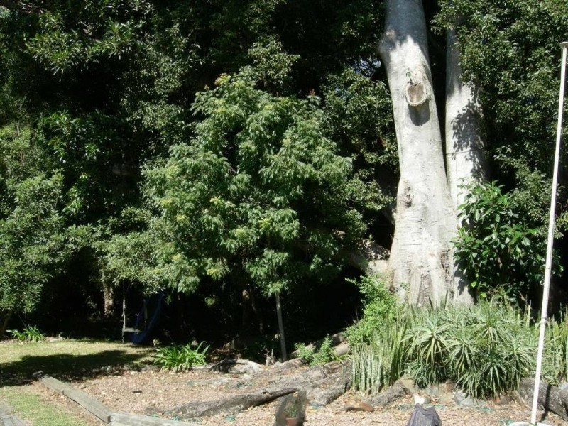 Nabiac NSW 2312