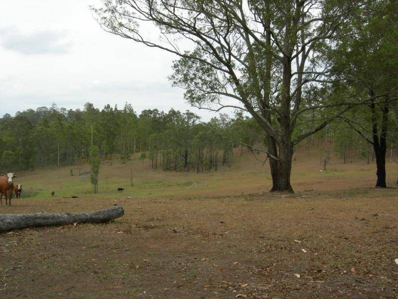 Bunyah NSW 2429