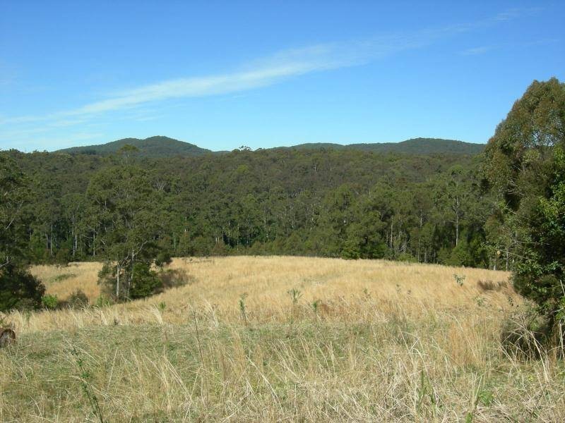 Wootton NSW 2423
