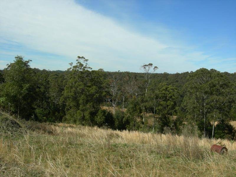 Wootton NSW 2423