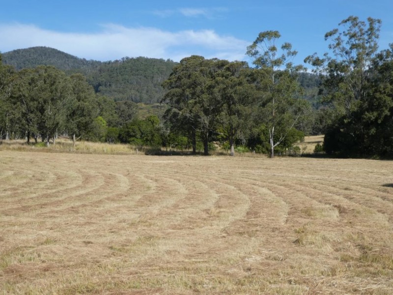 Burrell Creek NSW 2429
