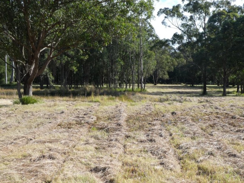 Burrell Creek NSW 2429